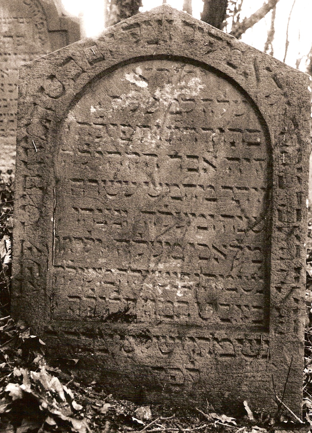 Juda Mehler, Bingen 1659